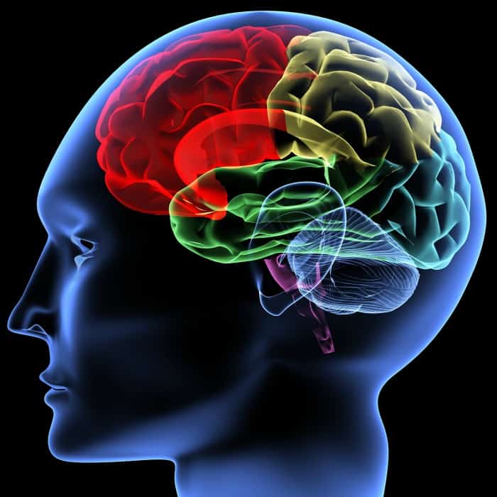 Memory Training Buffalo Occupational Therapy Aging with Purpose 2 - Buffalo Occupational Therapy Memory Training Buffalo Occupational Therapy Aging with Purpose 2 - Buffalo Occupational Therapy