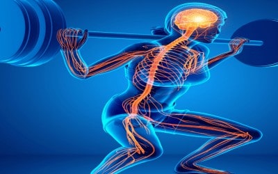 Upper Body and Lower Body Rehabilitation