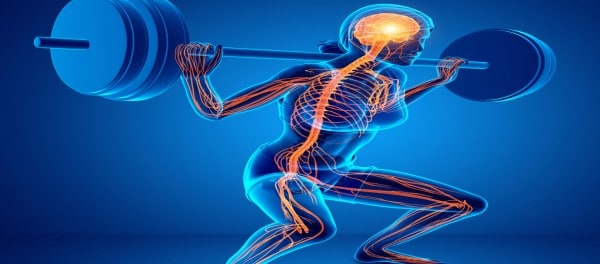 Neurocentric Rehabilitation neuro rehab Specialists Buffalo Occupational Therapy muscle Outpatient occupational therapy - Buffalo Occupational Therapy