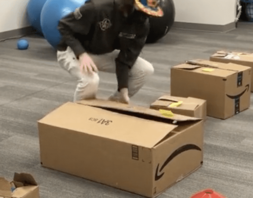 Proprioception And Working Memory