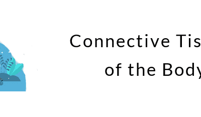 Connective Tissues of the Body