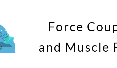 Force Couples & Muscle Roles