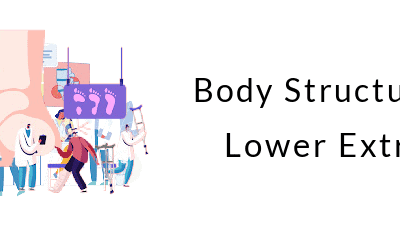 Structures of the Lower Extremity