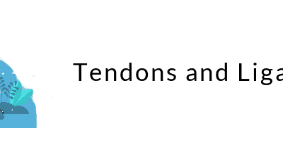 Tendons & Ligaments