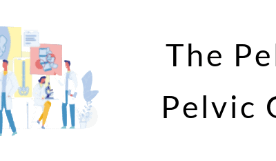 The Pelvis