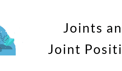 Joints and Joint Positions