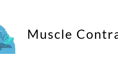 Muscle Contractions & Muscle Imbalances