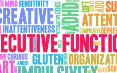 Executive Function Occupational Therapy