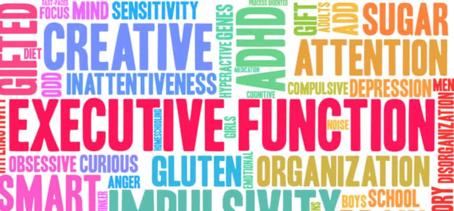 Executive Function Occupational Therapy