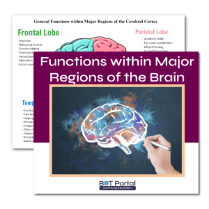 General Functions within major regions of the cerebral cortex - Buffalo Occupational Therapy