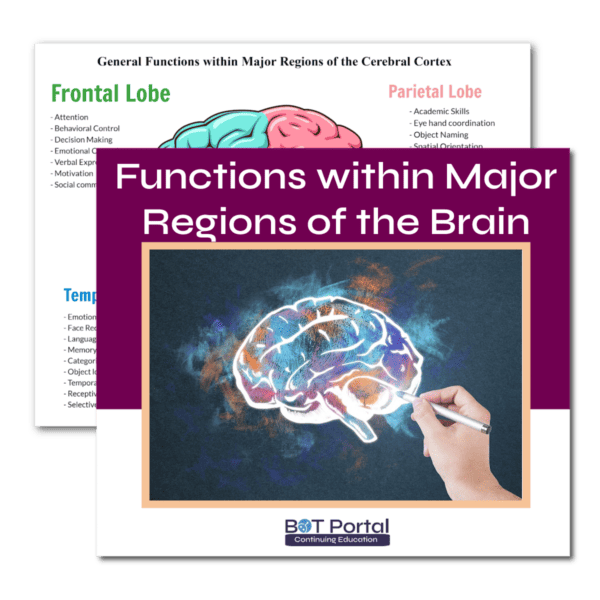 General Functions within major regions of the cerebral cortex - Buffalo Occupational Therapy