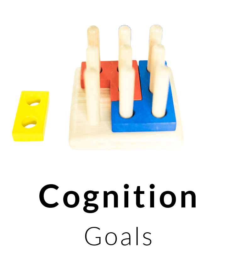 Cognition Goals for Occupational Therapy Goals BOT Portal - Buffalo Occupational Therapy