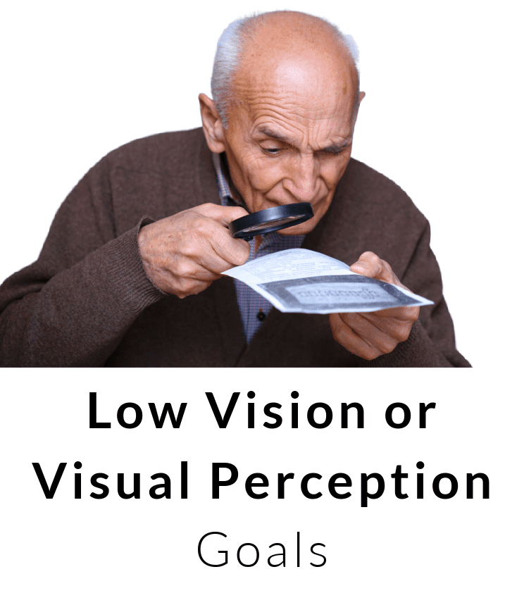 Low Vision or Visual Perception based OT Goals for Occupational Therapy Goals BOT Portal - Buffalo Occupational Therapy