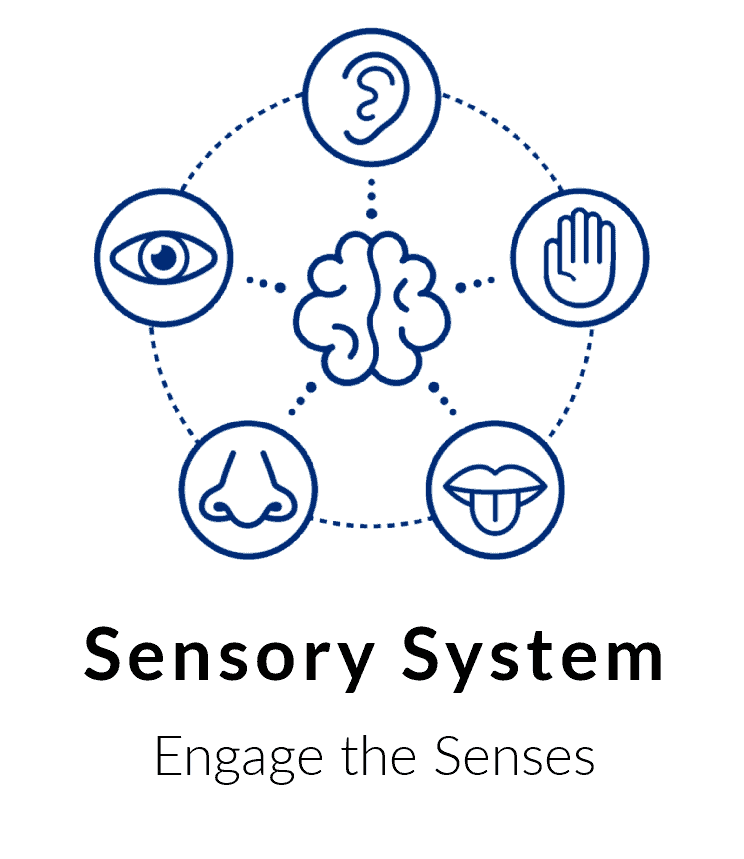Movement disorders require you to engage the senses - Buffalo Occupational Therapy Understand that a team approach is best for everyone. Each patient will work with a team of therapists. This means that your treatment will rotate between a maximum of three therapists who will intimately know you case and progression. All practitioners on your team are required to know your medical history, diagnosis, and most current non-pharmaceutical <a href='https://www.buffalooccupationaltherapy.com/the-occupational-therapy-store/diagnosis-handouts/how-can-you-help-your-spasticity/'>treatment approaches</a> for your symptoms. Working on a team allows there to be consistent oversight and redundancy to protect you from working with a "stranger". It also allows you the benefit of profiting from up to three unique clinical vantage points.
