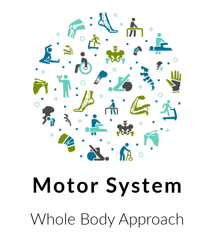 whole body approach to motor system rehab - Buffalo Occupational Therapy Understand that a team approach is best for everyone. Each patient will work with a team of therapists. This means that your treatment will rotate between a maximum of three therapists who will intimately know you case and progression. All practitioners on your team are required to know your medical history, diagnosis, and most current non-pharmaceutical <a href='https://www.buffalooccupationaltherapy.com/the-occupational-therapy-store/diagnosis-handouts/how-can-you-help-your-spasticity/'>treatment approaches</a> for your symptoms. Working on a team allows there to be consistent oversight and redundancy to protect you from working with a "stranger". It also allows you the benefit of profiting from up to three unique clinical vantage points.