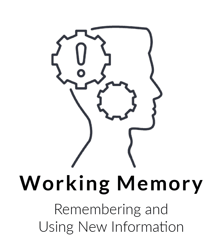 The Neurocognitive Workbook is the only one of its kind. This is unlike any other workbook of puzzles and activities. If you find yourself or your loved one is struggling with cognition, memory, or executive function changes, The Neurocognitive Workbook provides a structured, intentional, and interactive tool you can use with your long-term occupational therapy team. Addressing numerous  executive functions, visual perceptual skills, and cognitive elements throughout over 180 puzzles, this workbook addresses many problems that come from age-related changes or changes associated with a progressive neurological condition. The Neurocognitive Workbook  provides you a way to establish a timeline of performance with oversight from practitioners specialized in cognitive remedial performance and can be repeated countless times to gain insight into improvements, areas you have maintained, and areas that are becoming more difficult so that it can be immediately addressed through skilled therapies. 