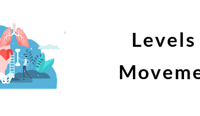 Levels of Movement and Upper and Lower Motor Neurons