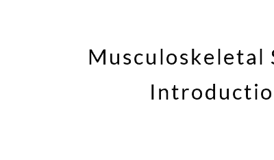 Lesson 2 : Musculoskeletal System Overview
