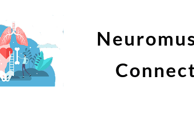 Neuromuscular Connection