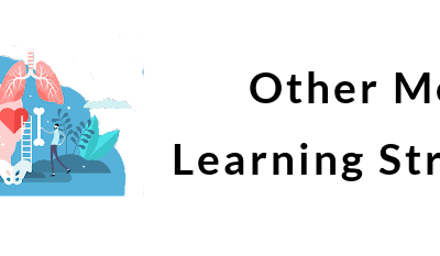 Other Motor Learning Strategies