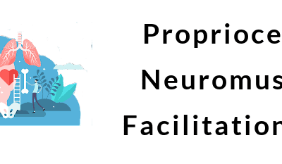 Proprioceptive Neuromuscular Facilitation