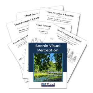 Scenic Visual Perception - Buffalo Occupational Therapy