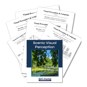 Scenic Visual Perception - Buffalo Occupational Therapy 