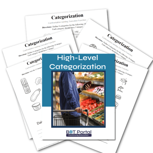 Categorization High Level Packet thumbnail 3 - Buffalo Occupational Therapy