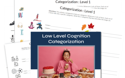 Categorization for low level cognition thumbnail 2 - Buffalo Occupational Therapy