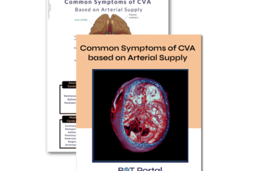 Common Symptoms of CVA based on Arterial Supply