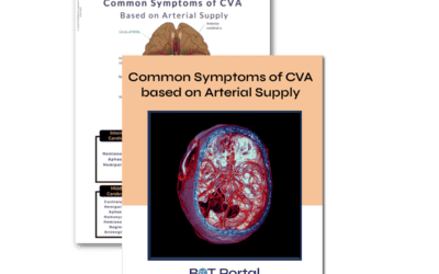 Common Symptoms of CVA based on Arterial Supply - Buffalo Occupational Therapy