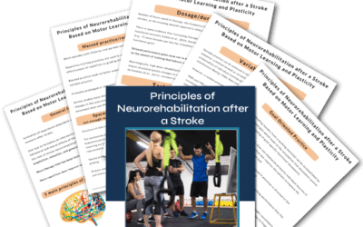 Principles of Neurorehabilitation after a Stroke Based on Motor Learning and Plasticity