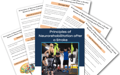 Principles of Neurorehabilitation after a Stroke Based on Motor Learning and Plasticity - Buffalo Occupational Therapy