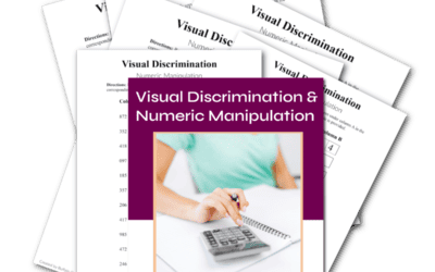 Visual Discrimination and Numeric Manipulation – Digit Span Reversals