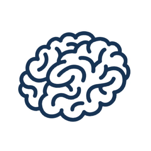 Brain ICONS-14 - Buffalo Occupational Therapy Neurological Occupational Therapy and Memory Support Services help changes in TBI, Alzheimer's Disease, Dementia, and Mild Cognitive Impairment.