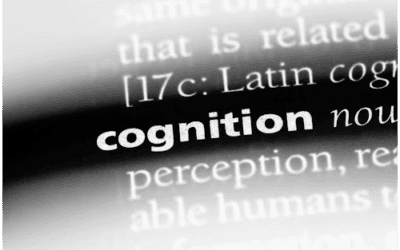 Cognition and Executive Function for Occupational Therapy - Buffalo Occupational Therapy