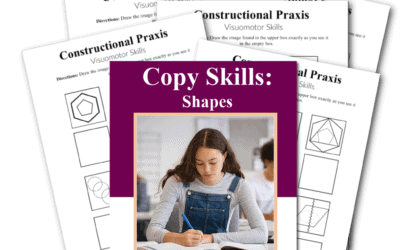 Copy Skills Shapes Constructional Praxis