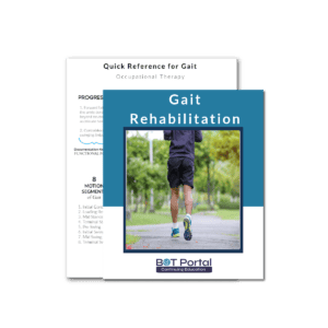 Gait Rehabilitation