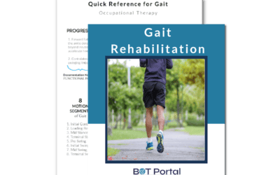 Gait Rehabilitation
