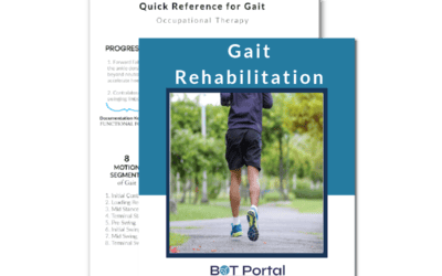 Quick Guide for Understanding Gait Rehabilitation