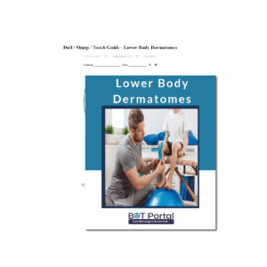 Lower Body Dermatomes 1 - Buffalo Occupational Therapy