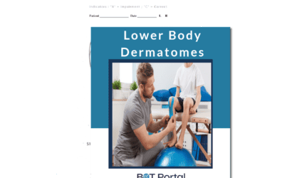 Lower Body Dermatomes