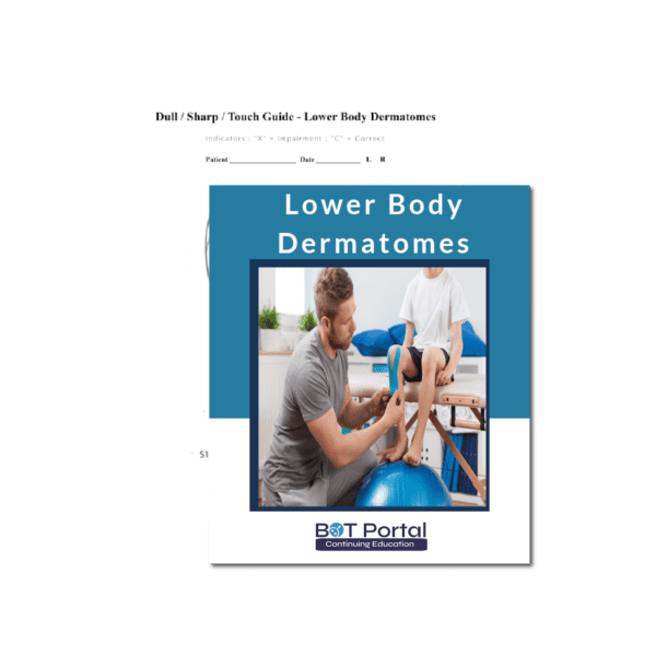 Lower Body Dermatomes 1 - Buffalo Occupational Therapy