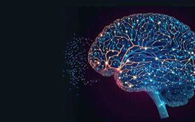 WNY Neurological Care Survey