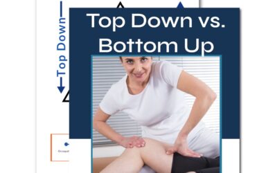 Top-Down and Bottom-Up Approaches