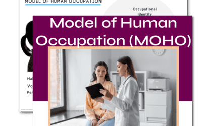 Model of Human Occupation (MOHO)