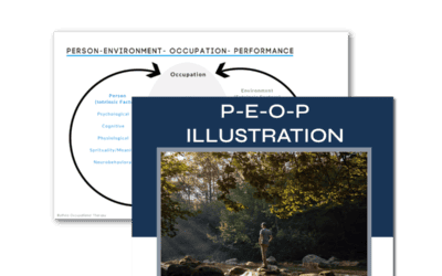 Person Environment Occupation Performance Model PEOP