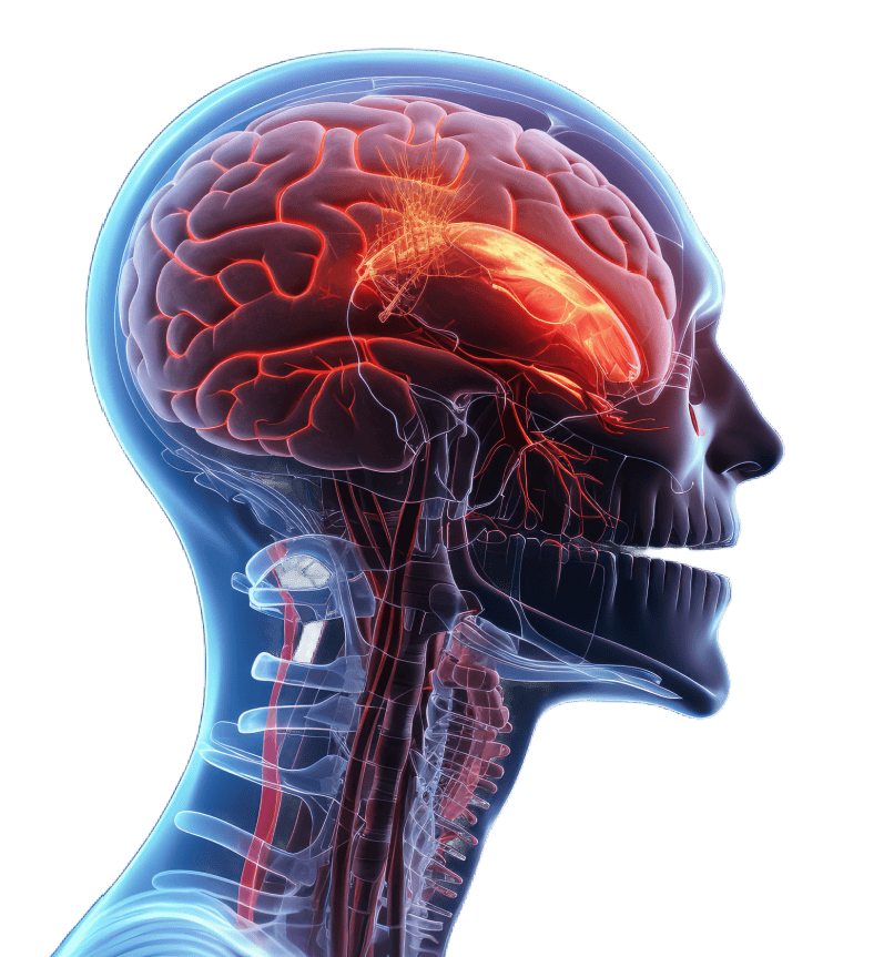 Traumatic Brain Injury TBI Treatments in Buffalo NY